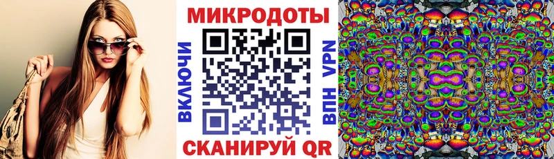 Псилоцибиновые грибы Cubensis  как найти наркотики  Стародуб 