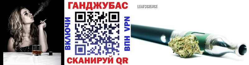 закладка  Стародуб  OMG рабочий сайт  Канабис планчик 